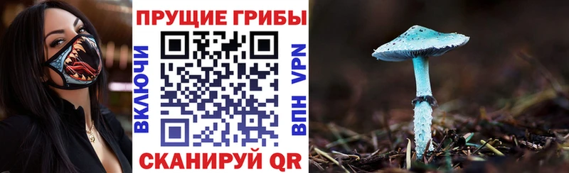 купить  сайты  Кропоткин  Псилоцибиновые грибы мухоморы 